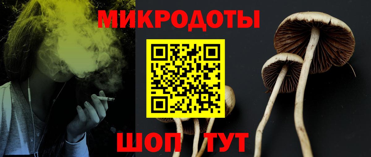Галлюциногенные грибы Cubensis  Вход с VPN  наркотики  Серов  Псилоцибиновые грибы Cubensis 